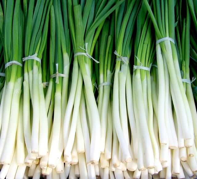 green-onion-699943_640